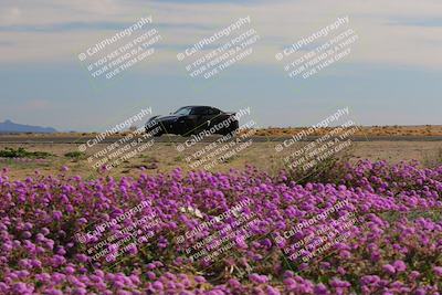 media/Jan-08-2023-SCCA SD (Sun) [[8f6a5b9391]]/Intermediate Group/Session 2 (Short Straight)/